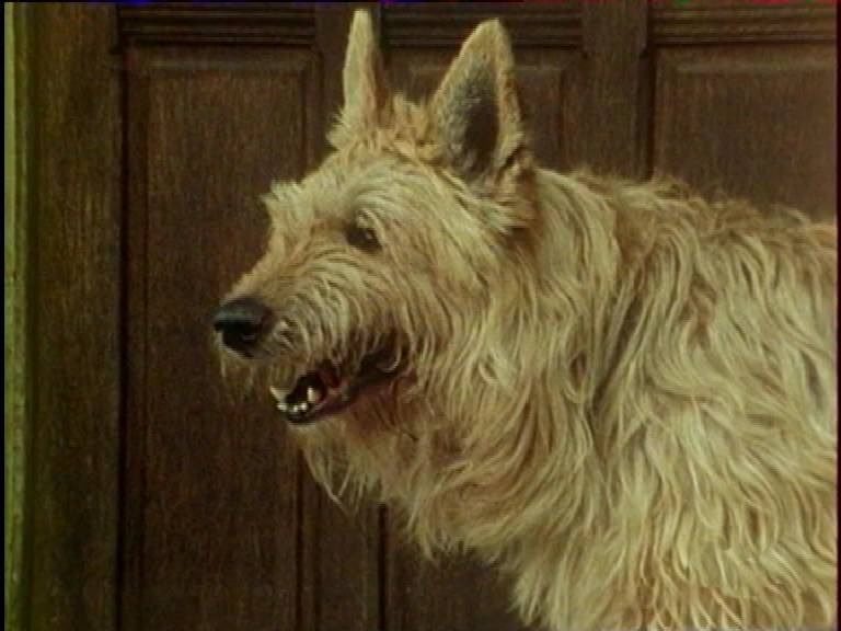 TÉLÉCHARGER LE CHIEN JAUNE DE SIMENON